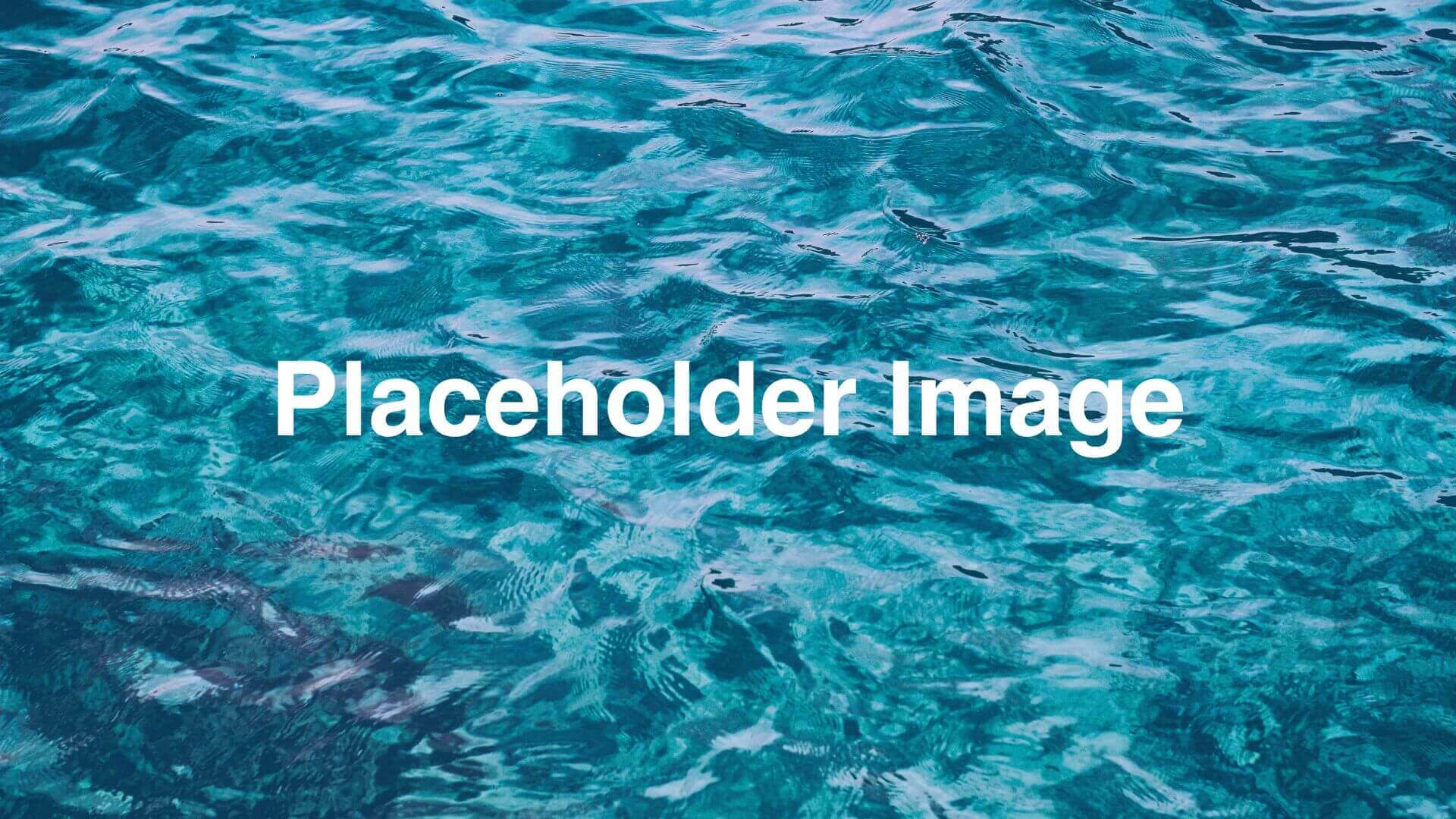 Placeholder Image